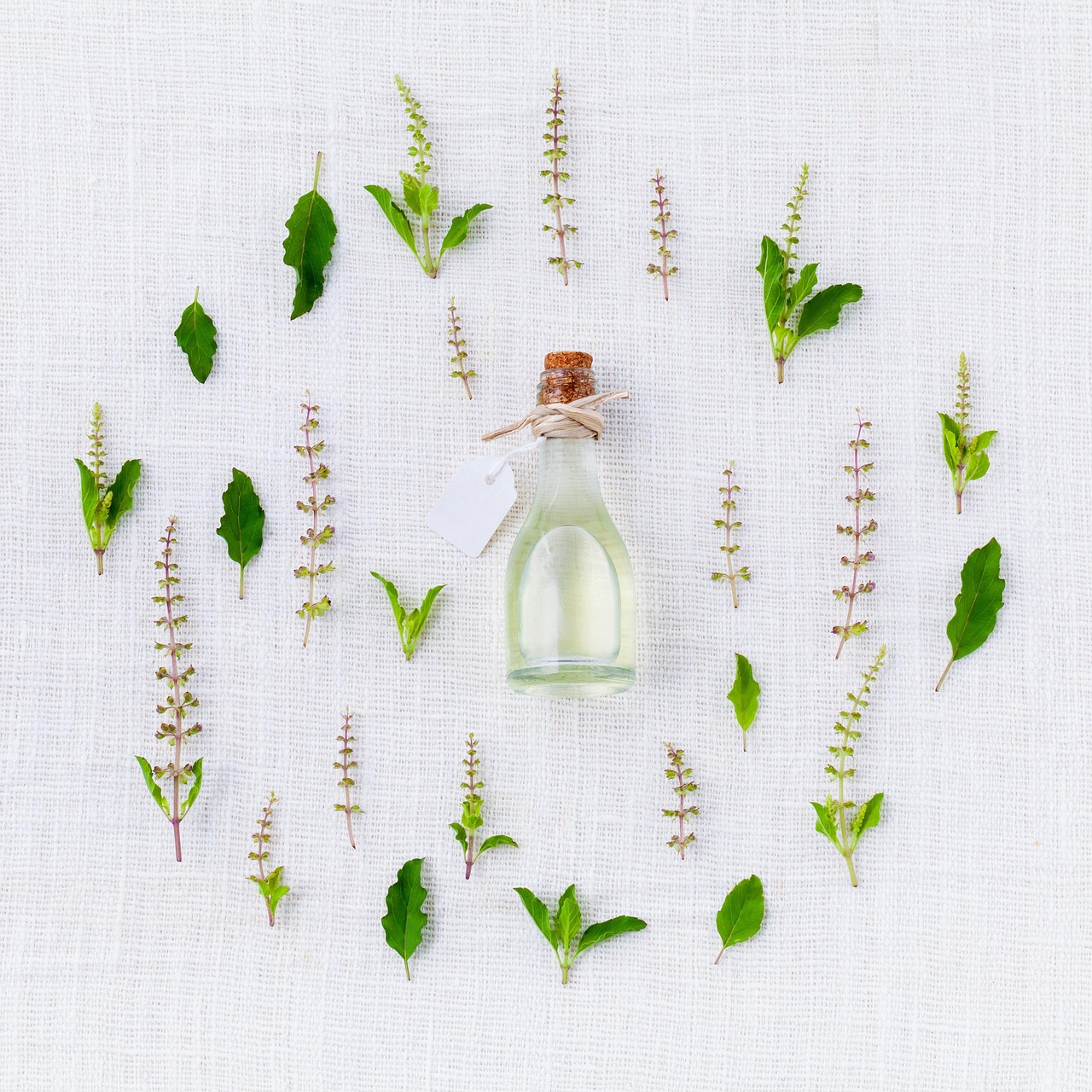 How to Spot Real Sweet Birch Oil: Quality Checks Before You Buy